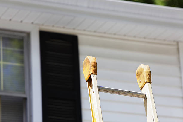 Best Siding Painting and Refinishing  in Trinity, NC